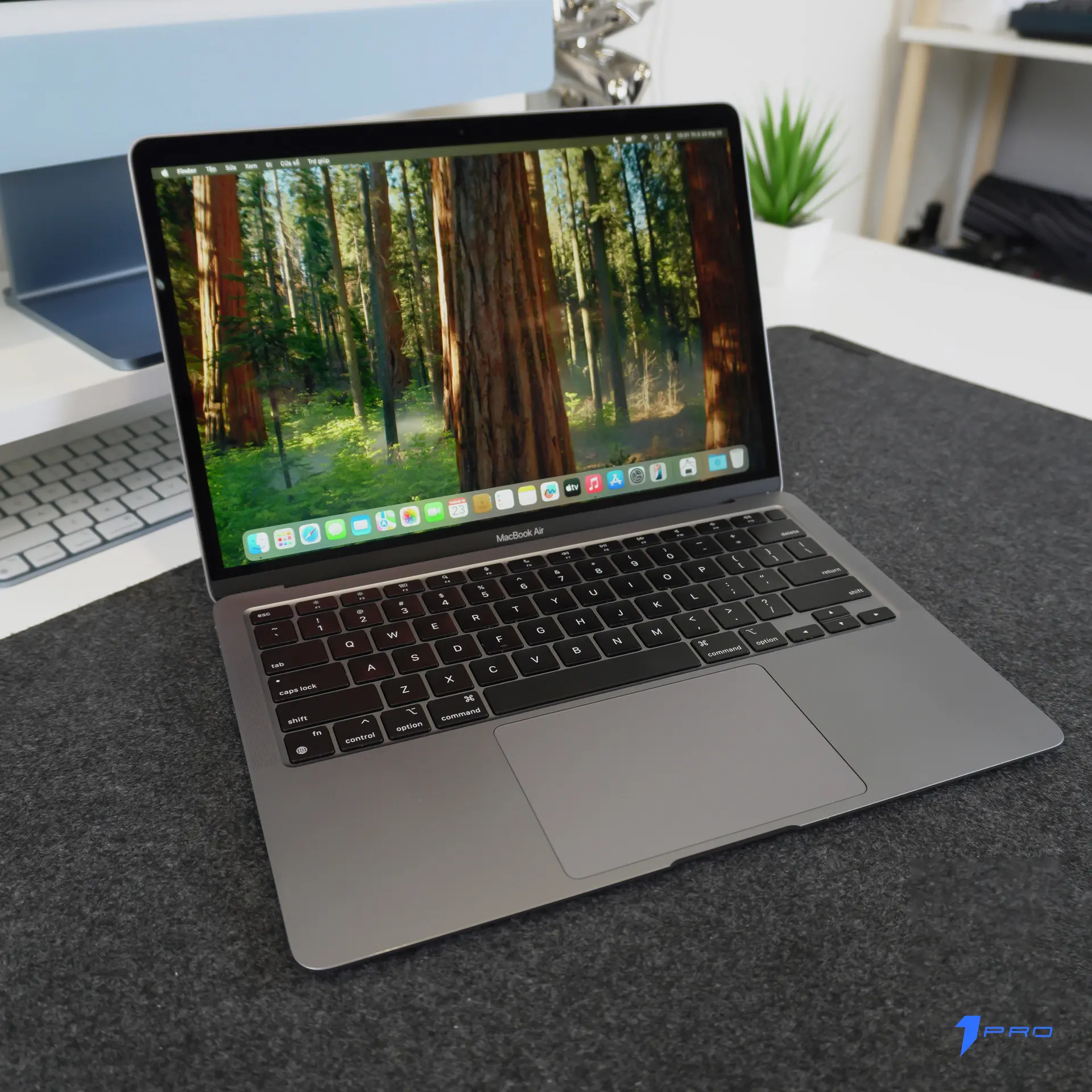 Màn hình MacBook Air M1 hiển thị văn bản và hình ảnh, đánh giá MacBook Air M1