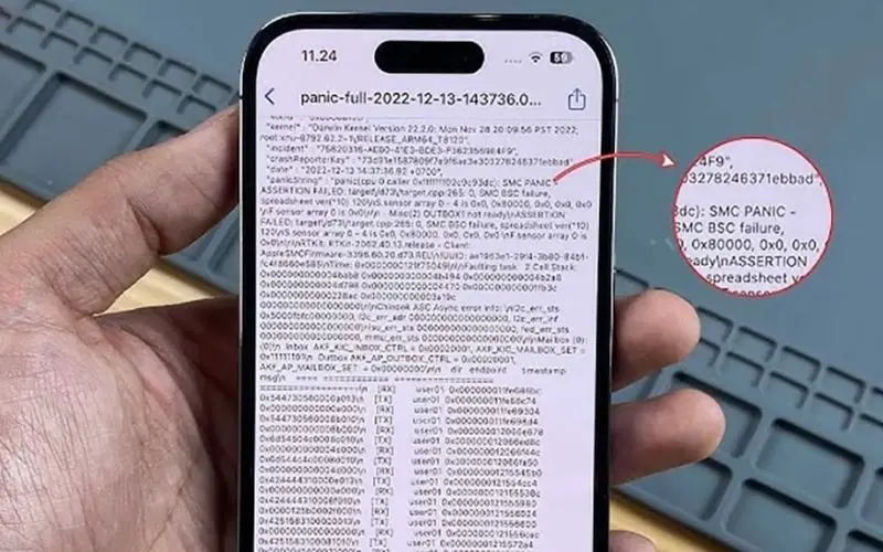 lỗi panic full iphone
